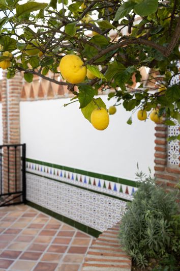 Image No.23-4 Bed Villa for sale