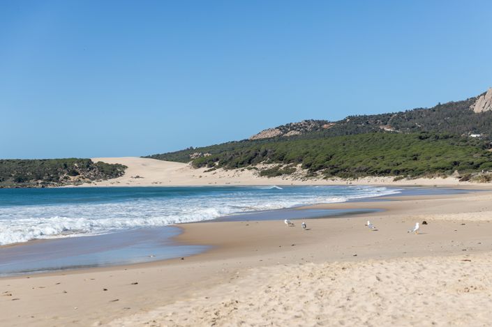 Image No.5-Plot for sale