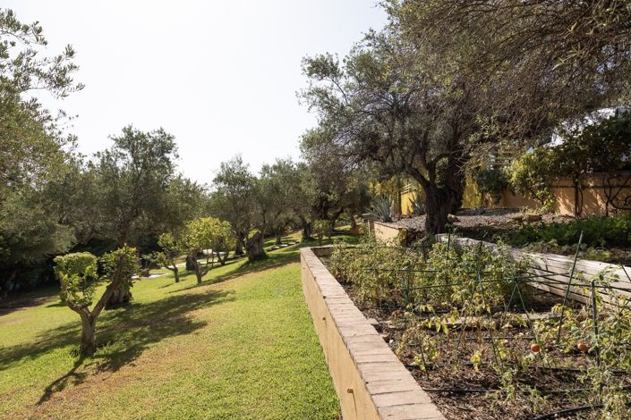 Image No.18-4 Bed Finca for sale