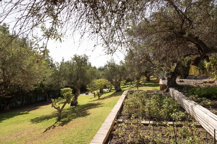 Image No.19-4 Bed Finca for sale