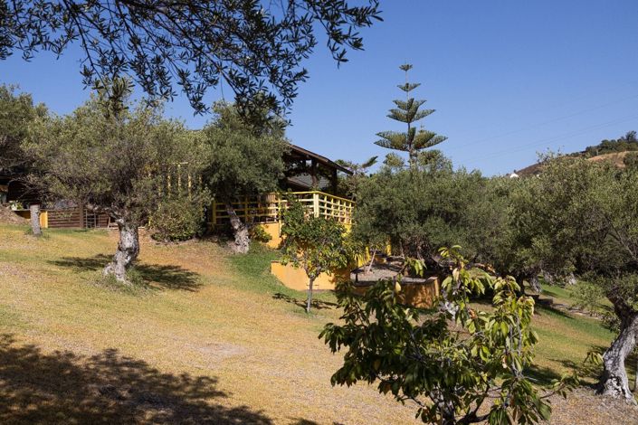 Image No.20-4 Bed Finca for sale