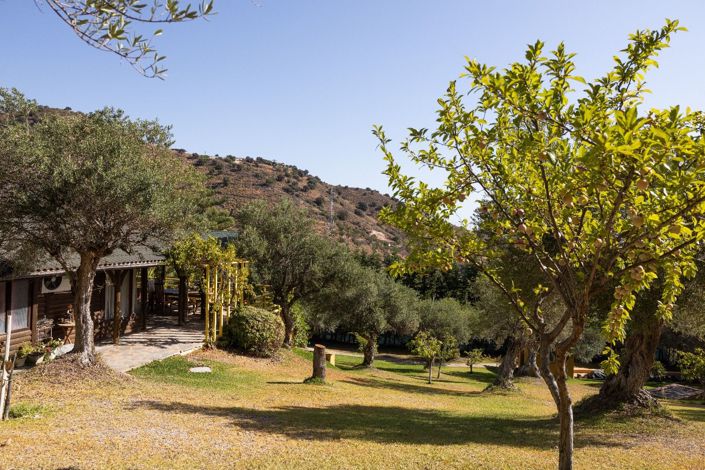 Image No.21-4 Bed Finca for sale