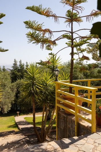 Image No.24-4 Bed Finca for sale