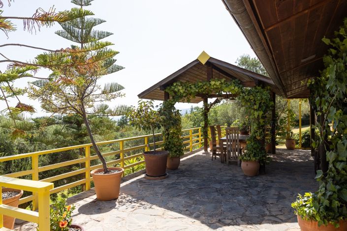 Image No.25-4 Bed Finca for sale