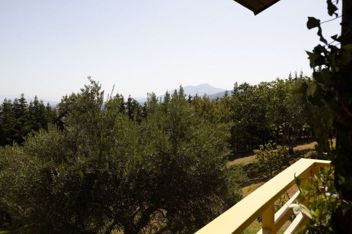 Image No.27-4 Bed Finca for sale