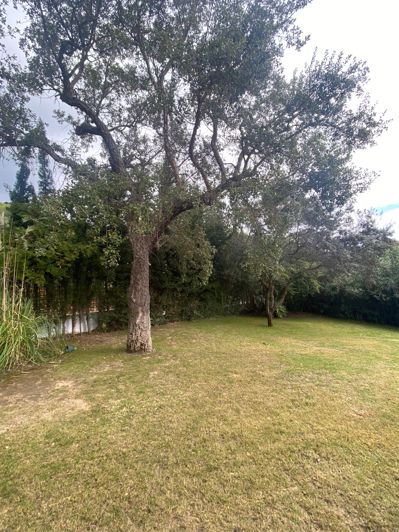 Image No.9-5 Bed House for sale