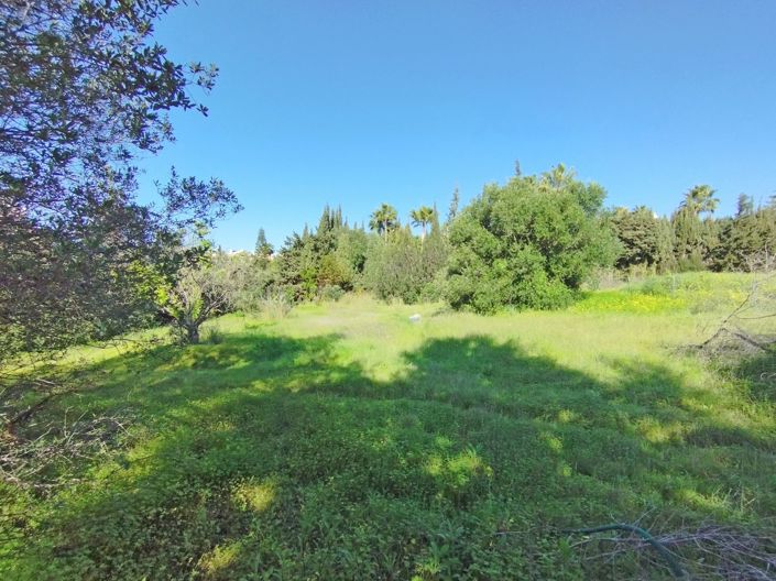 Image No.16-Plot for sale