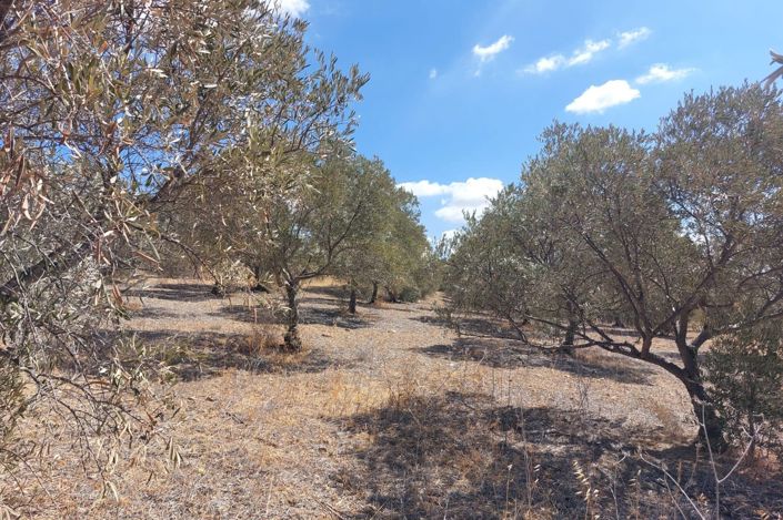 Image No.14-Plot for sale