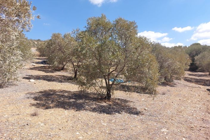 Image No.18-Plot for sale