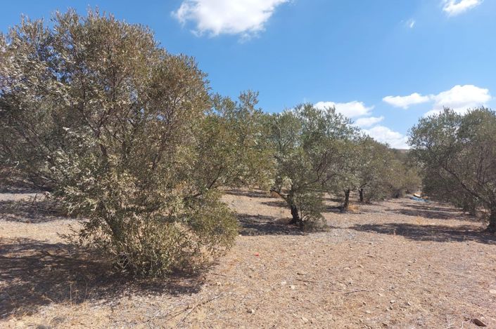 Image No.19-Plot for sale