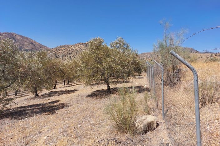 Image No.9-Plot for sale