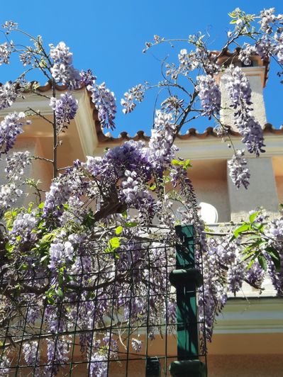 Image No.20-3 Bed Villa for sale