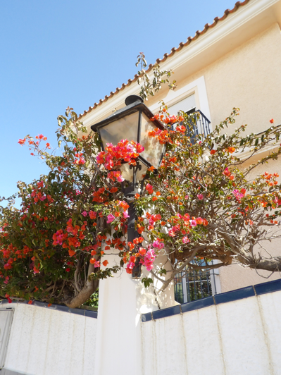 Image No.26-3 Bed Villa for sale