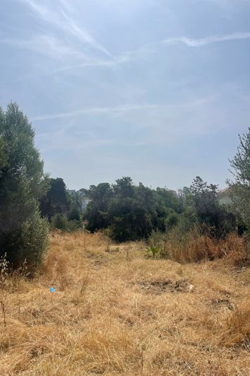 Image No.15-3 Bed Plot for sale