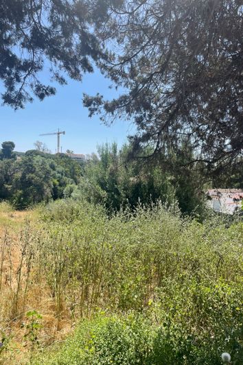 Image No.19-3 Bed Plot for sale