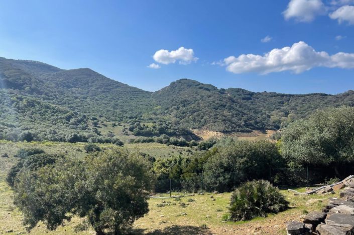 Image No.27-3 Bed Finca for sale