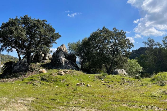 Image No.28-3 Bed Finca for sale