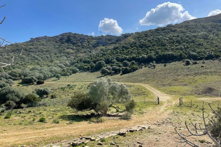 Image No.7-3 Bed Finca for sale