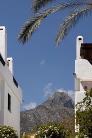 spcrm3237-itxgakxjk3qkkr0t