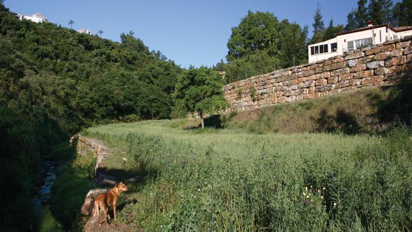 Image No.6-Plot for sale