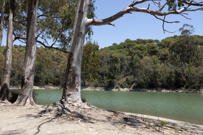 Image No.9-3 Bed Penthouse for sale