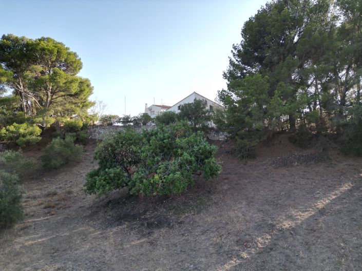 Image No.5-4 Bed Plot for sale