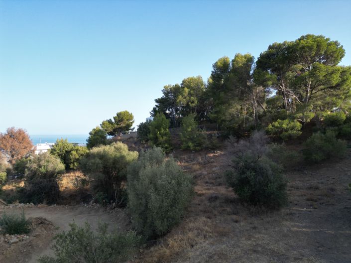 Image No.8-4 Bed Plot for sale