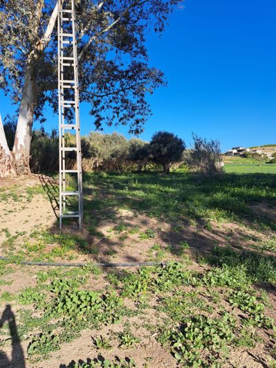 Image No.1-Plot for sale