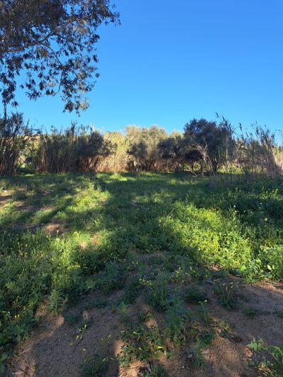 Image No.10-Plot for sale