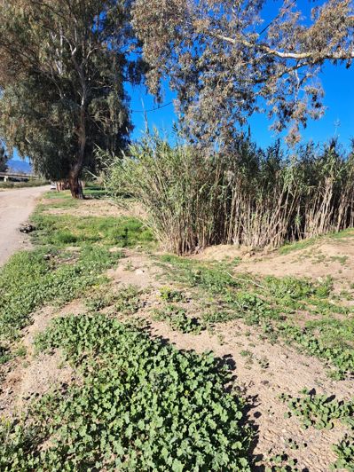 Image No.2-Plot for sale