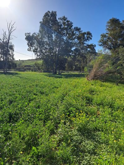 Image No.5-Plot for sale