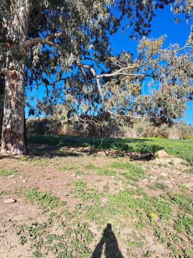 Image No.9-Plot for sale