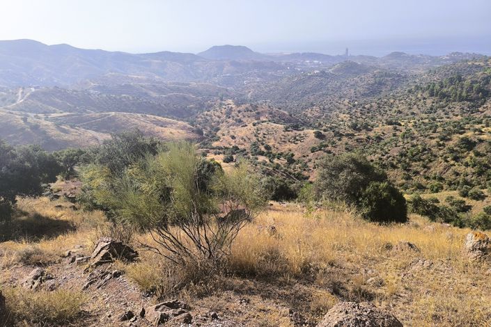 Image No.11-Plot for sale