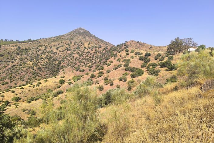 Image No.13-Plot for sale