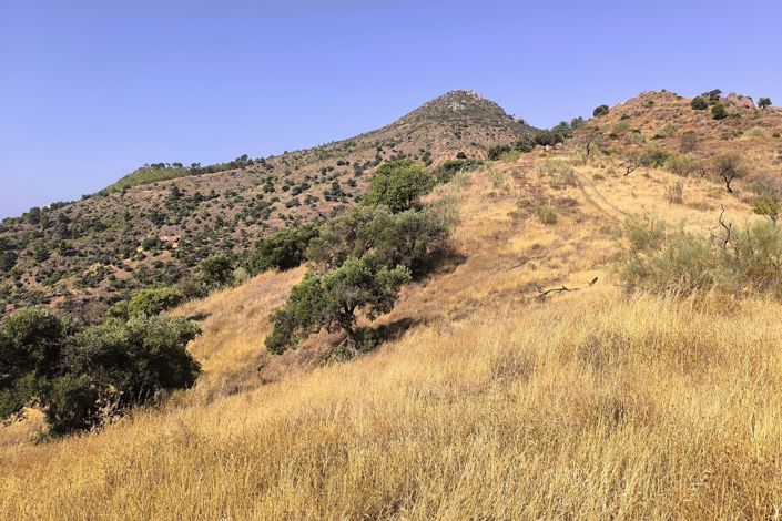 Image No.16-Plot for sale