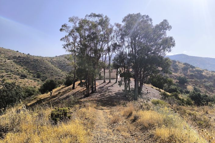 Image No.17-Plot for sale