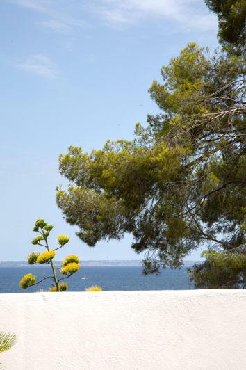 Image No.30-3 Bed Apartment for sale