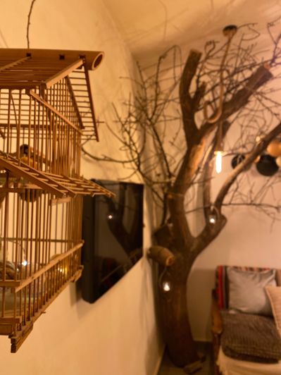 Image No.20-4 Bed Finca for sale