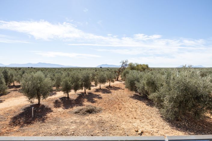 Image No.20-7 Bed Villa for sale