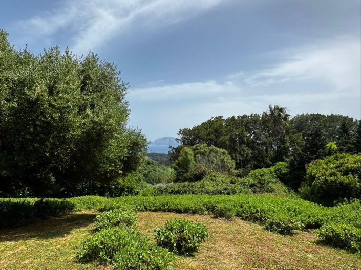 Image No.2-2 Bed Plot for sale