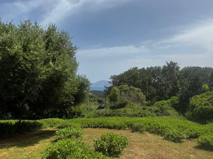 Image No.4-2 Bed Plot for sale