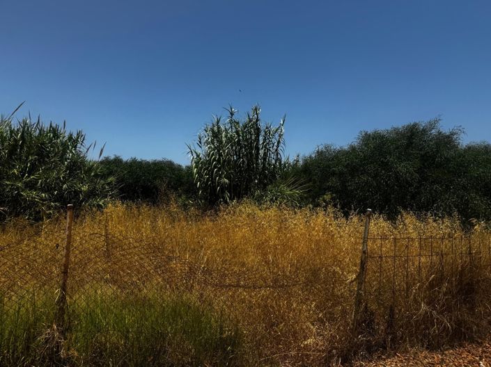 Image No.1-Plot for sale