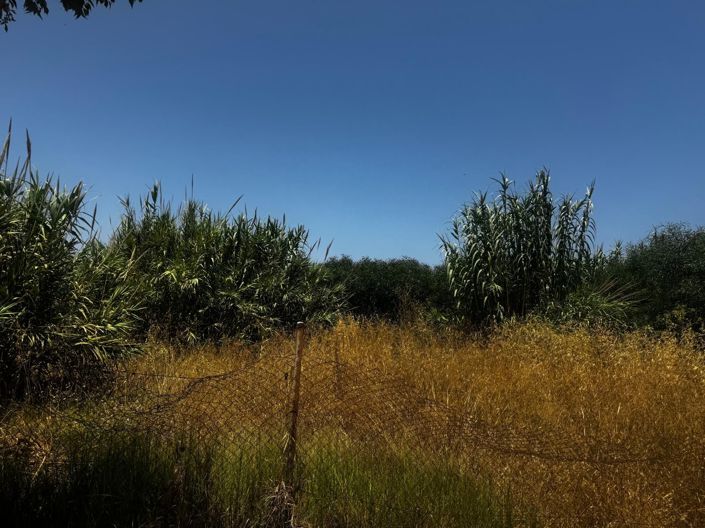 Image No.3-Plot for sale