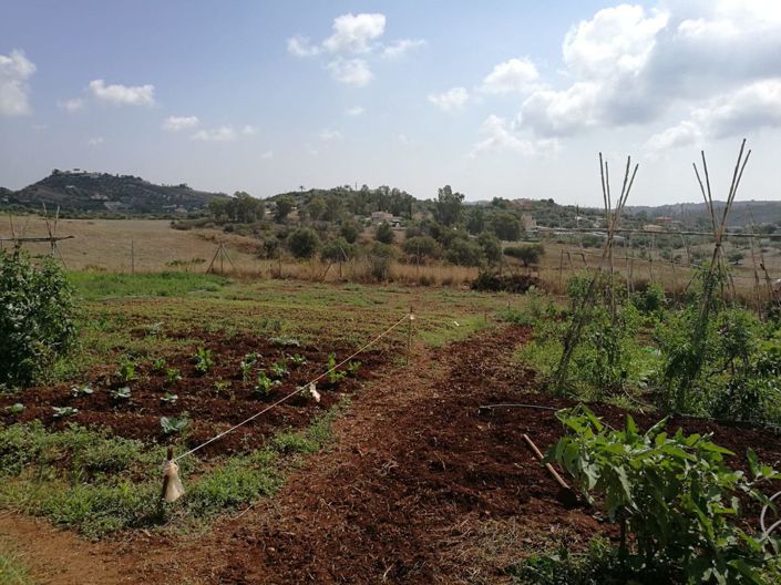 Image No.14-2 Bed Finca for sale