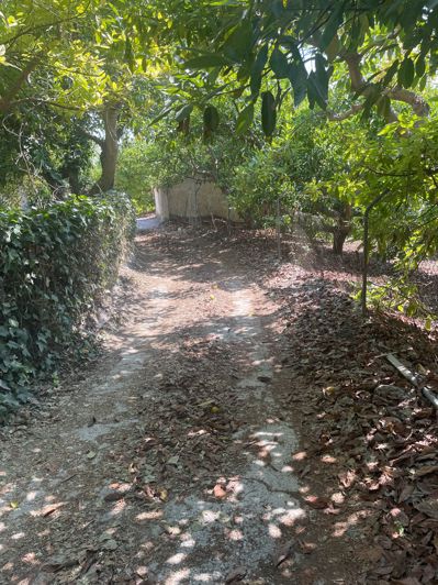 Image No.20-2 Bed Finca for sale