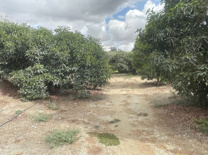 Image No.10-2 Bed Finca for sale