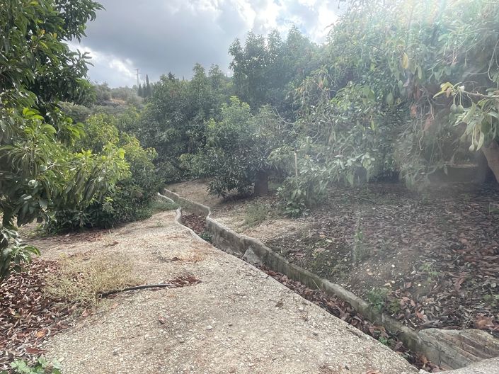 Image No.11-2 Bed Finca for sale