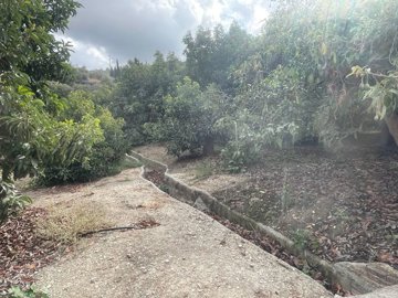 spcrm3875-6ofieari2dfs5nr5