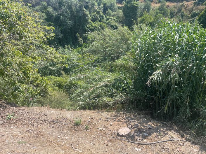 Image No.23-2 Bed Finca for sale