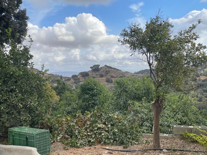 Image No.13-2 Bed Finca for sale